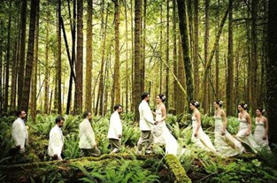 Forest Wedding