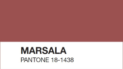 marsala-pantone_-_small.jpg