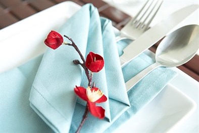 Five Creative Napkin Folding Ideas 2